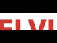 意大利ELVI電動(dòng)機(jī)